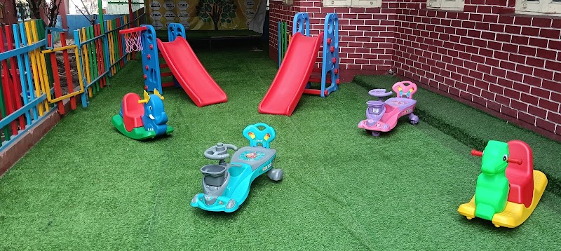 ROYALSTAR KIDS KINGDOM - Kids Pre-School in Raipur